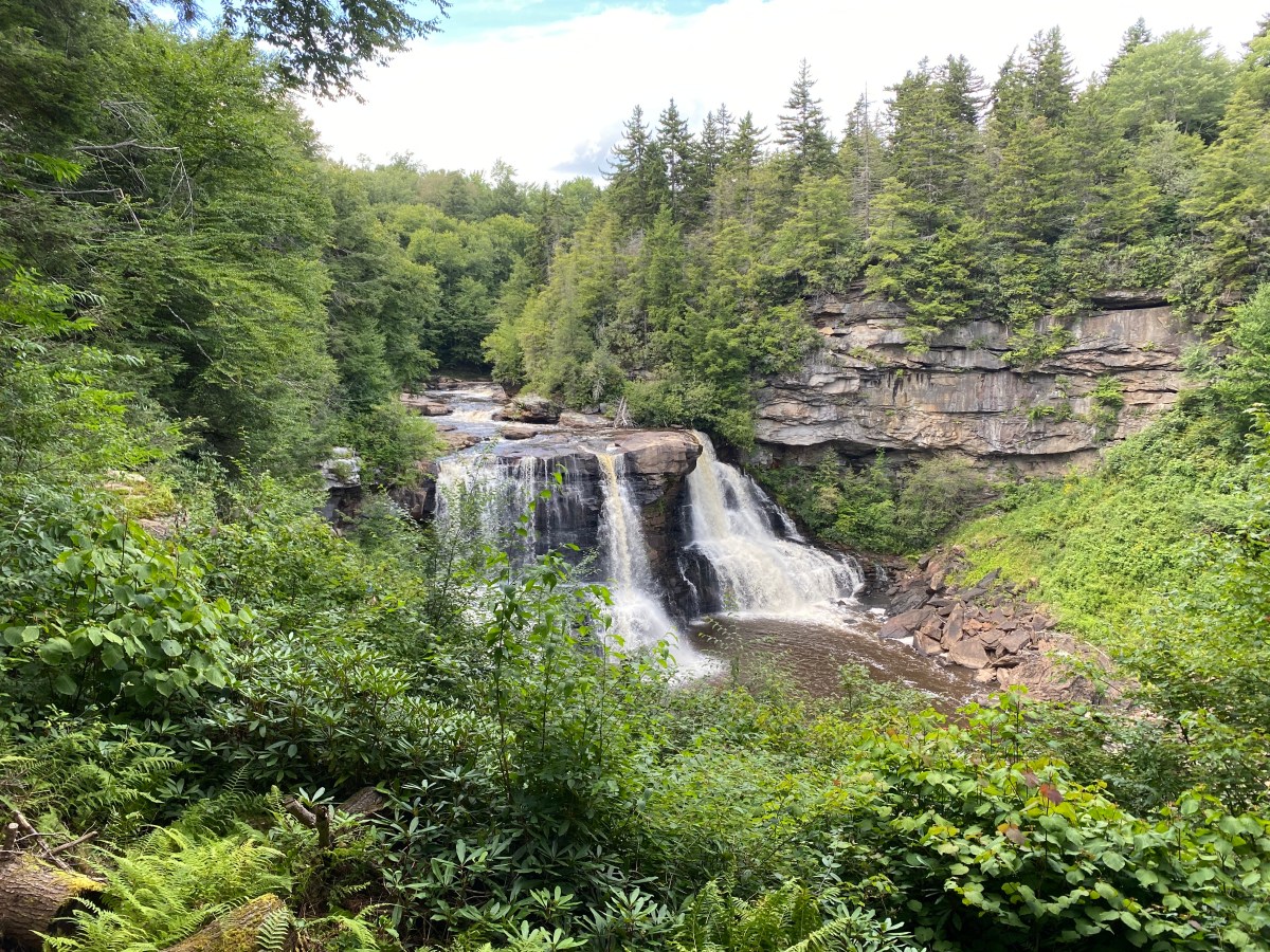 “If the foundations are destroyed, what can the righteous do?” (Psalm&nbsp;11)