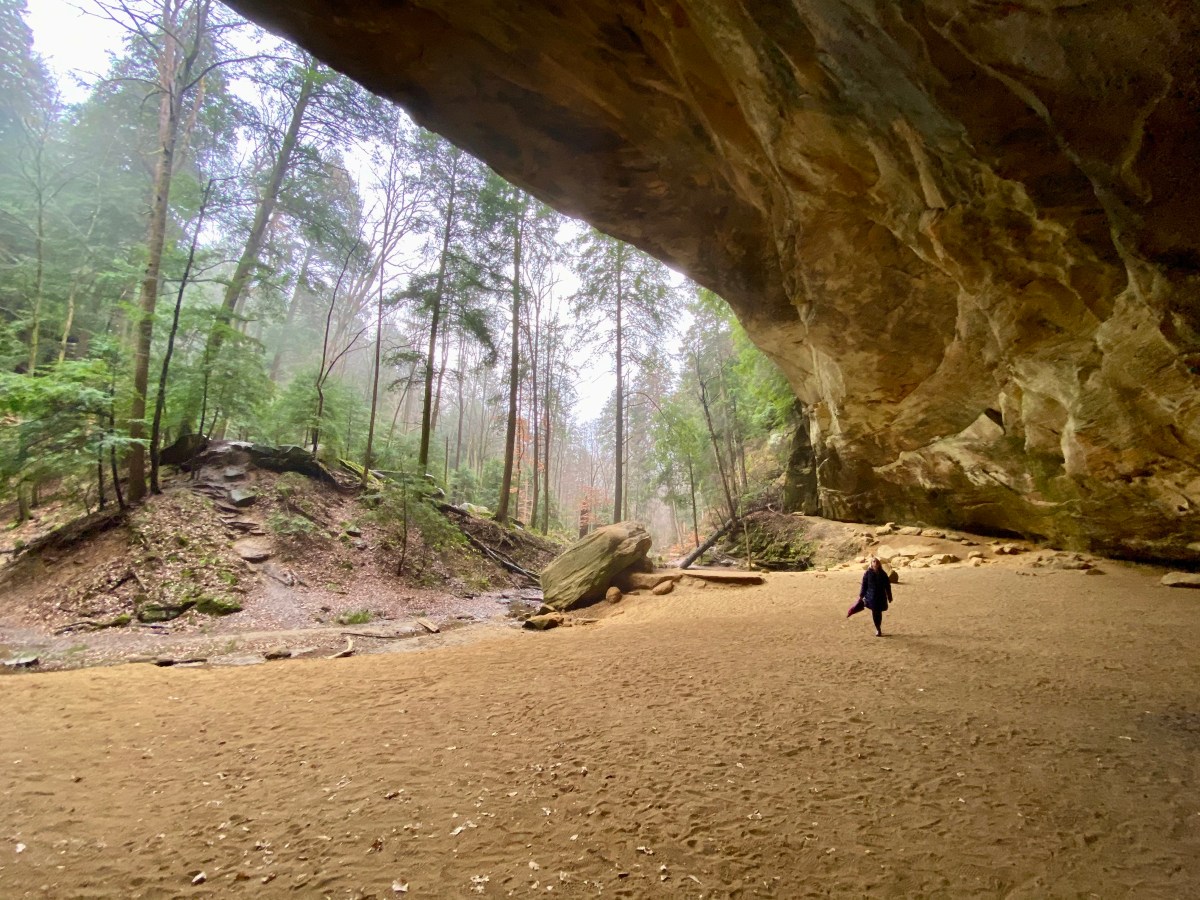 Longing for a Better World and the Meaning of&nbsp;Christmas